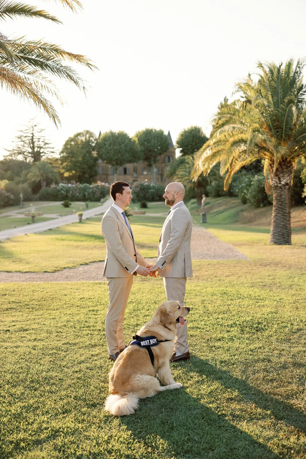 Two men in suits standing in a park holding hands, with a golden retriever dog sitting in front, wearing a harness that says 'Best Boy,' palm trees, and a historic building in the background during sunset.