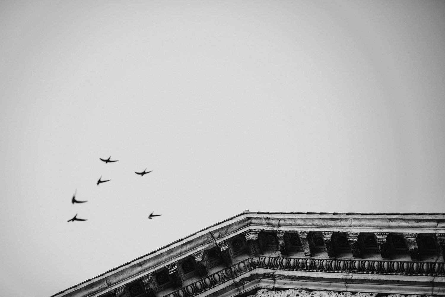 002__ED_2201.jpg